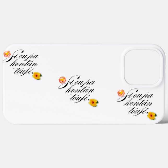 Couverture (Baksida (horisontell))