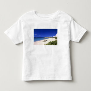 Cove Castles Villas, Shoal Bay West, Anguilla Tee Shirt
