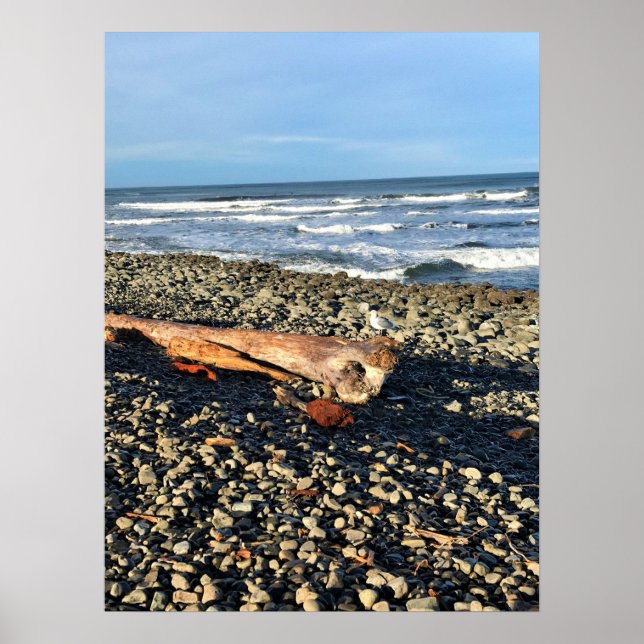 Cove vid Seaside, Oregon Poster (Framsidan)