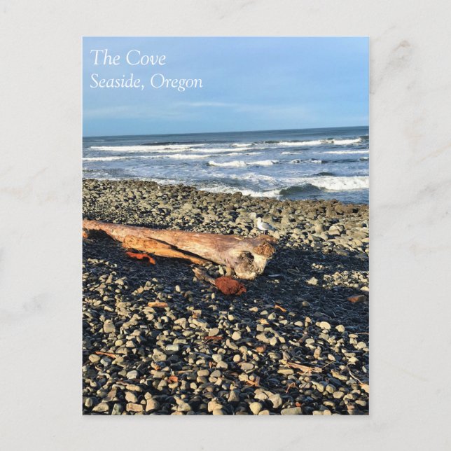 Cove vid Seaside, Oregon Vykort (Framsida)