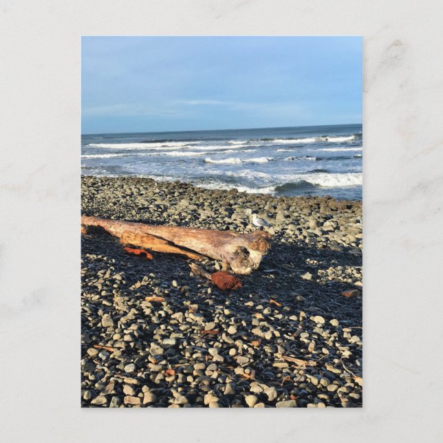 Cove vid Seaside, Oregon Vykort (Framsida)