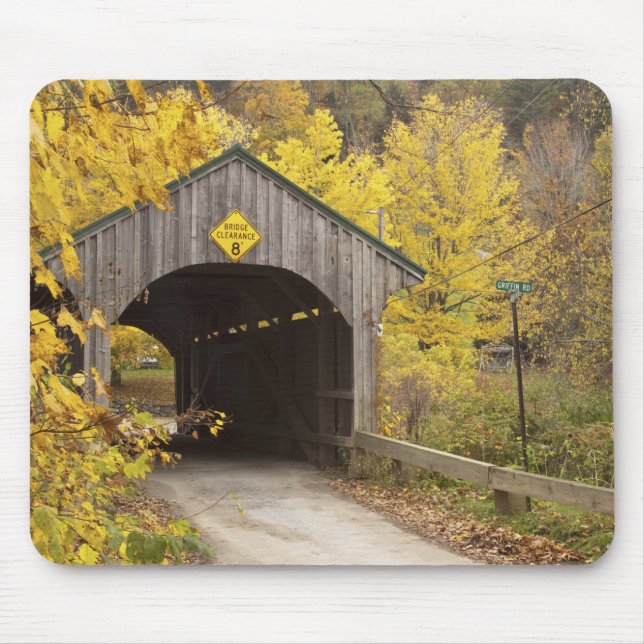 Covered bridge, Vermont, USA 2 Musmatta (Framsidan)