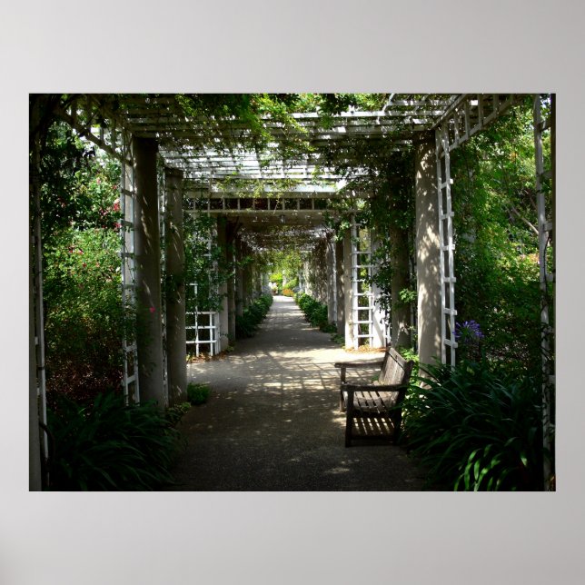 Covered Walkway Poster (Framsidan)