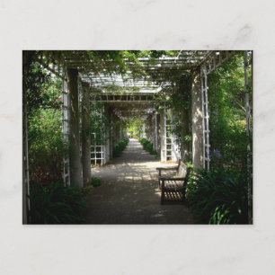 Covered Walkway Vykort