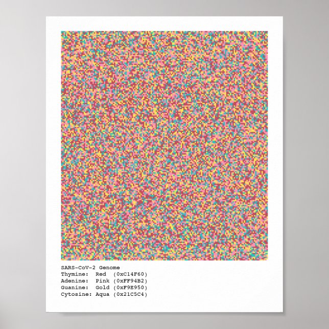 COVID-19 Genome Poster (Framsidan)