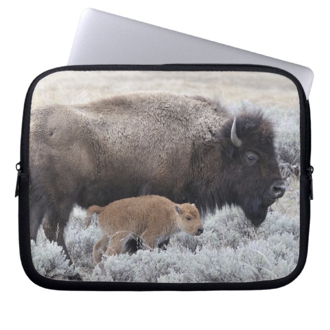 Cow and Calf Bison, Yellowstone Laptop Fodral (Framsidan)