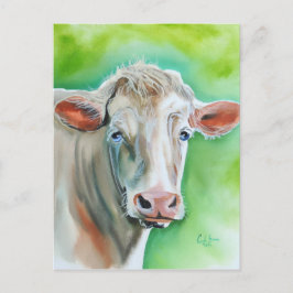Cow ansikte vykort