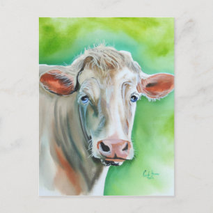Cow ansikte vykort