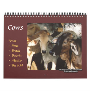 Cow Boskap Kalender