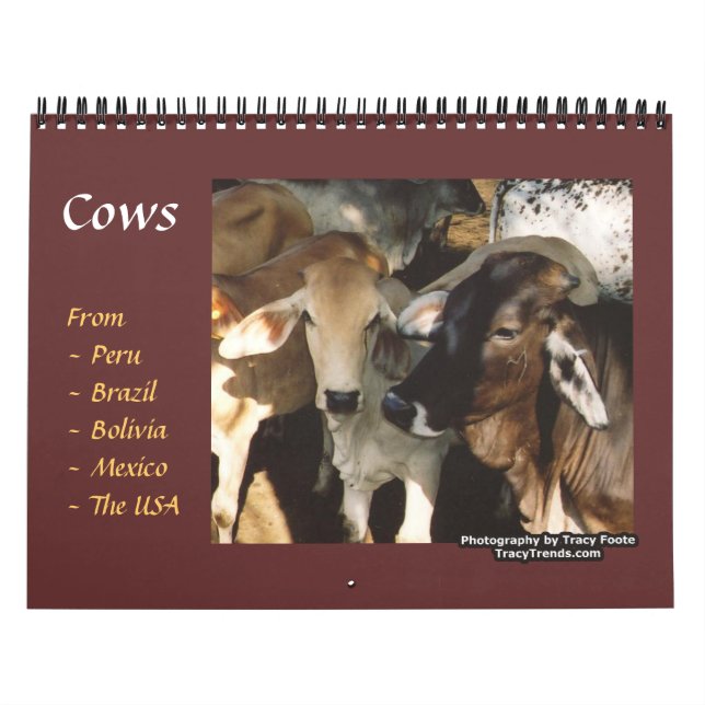 Cow Boskap Kalender (Omslag)