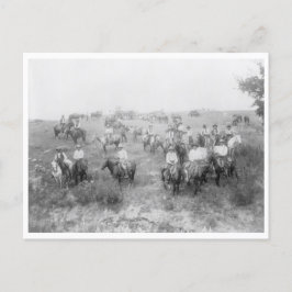 Cow Boy Mount Vykort