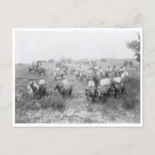 Cow Boy Mount Vykort