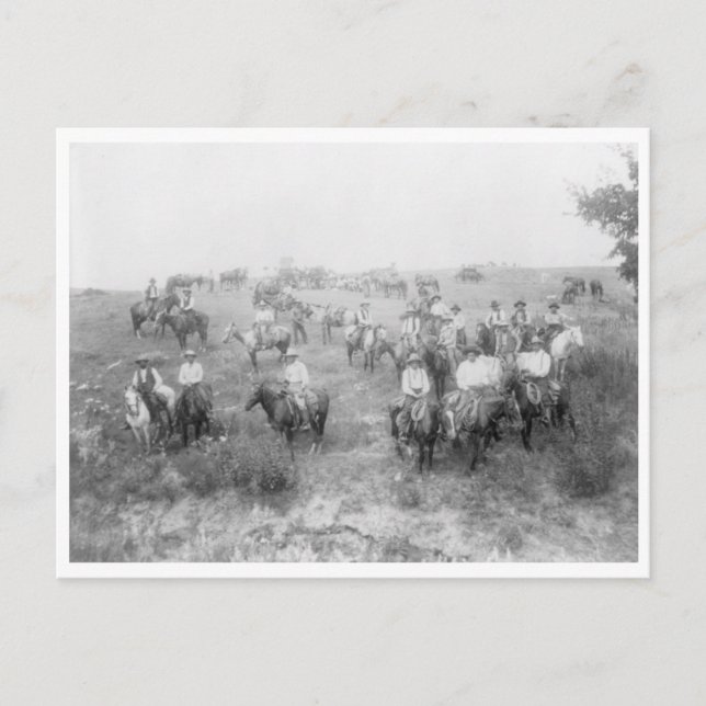 Cow Boy Mount Vykort (Framsida)