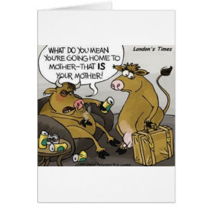Cow Bull Divorce Funny Tecknad Gifts & Tees Hälsningskort
