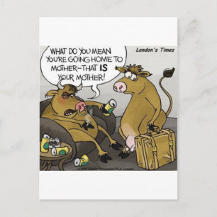 Cow Bull Divorce Funny Tecknad Gifts & Tees Vykort
