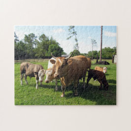 Cow Bull och Calves Farm Puzzle Pussel