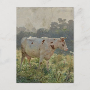 Cow by Emile Claus Vykort
