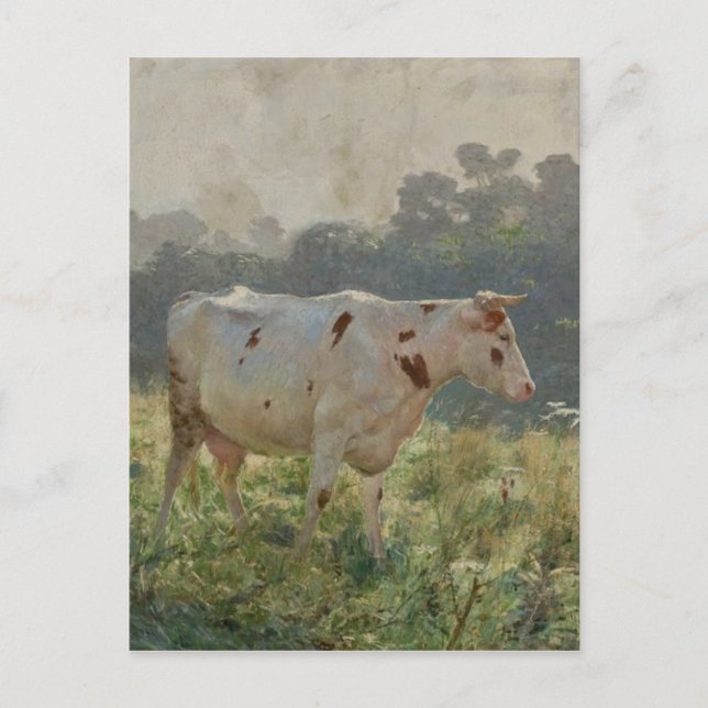 Cow by Emile Claus Vykort (Framsida)