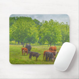 Cow Cattle Pasture Texas Farm Art Mouse Pad Musmatta