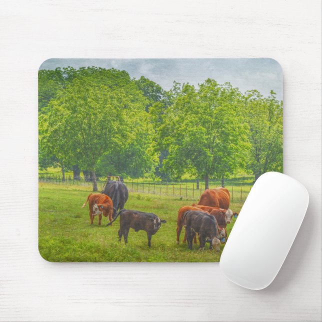 Cow Cattle Pasture Texas Farm Art Mouse Pad Musmatta (Med mus)