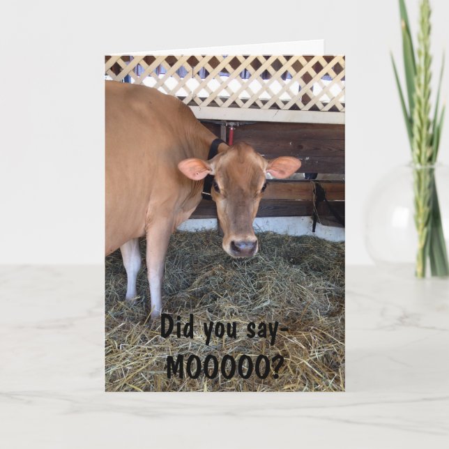COW FRÅGAR: "HAR DU SAY MOO?"/KÄRLEK OCKSÅ. KORT (Framsida)