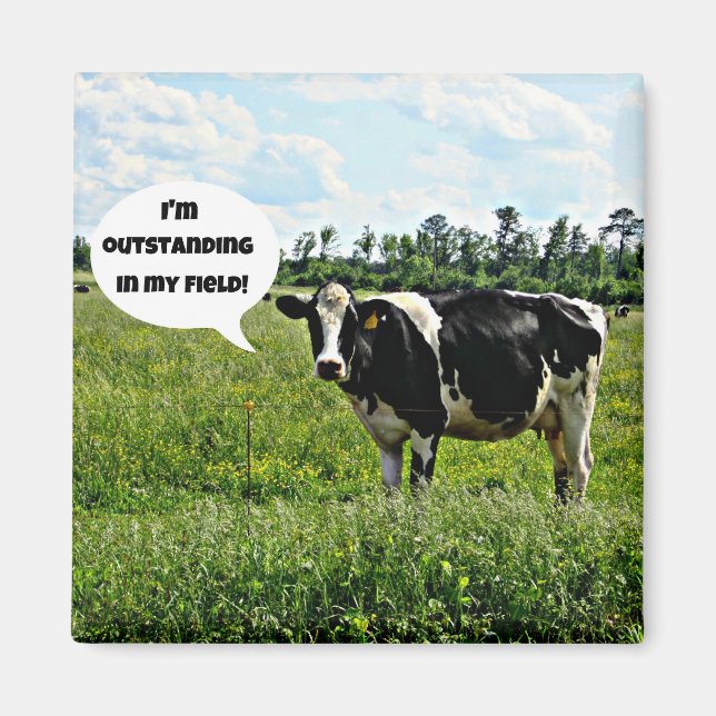 Cow Humor Magnet (Framsidan)