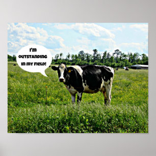 Cow Humor Poster
