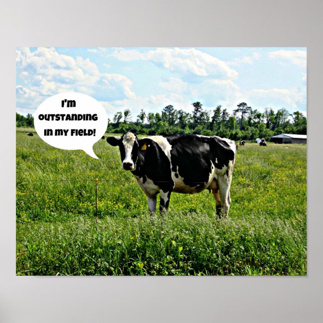 Cow Humor Poster (Framsidan)