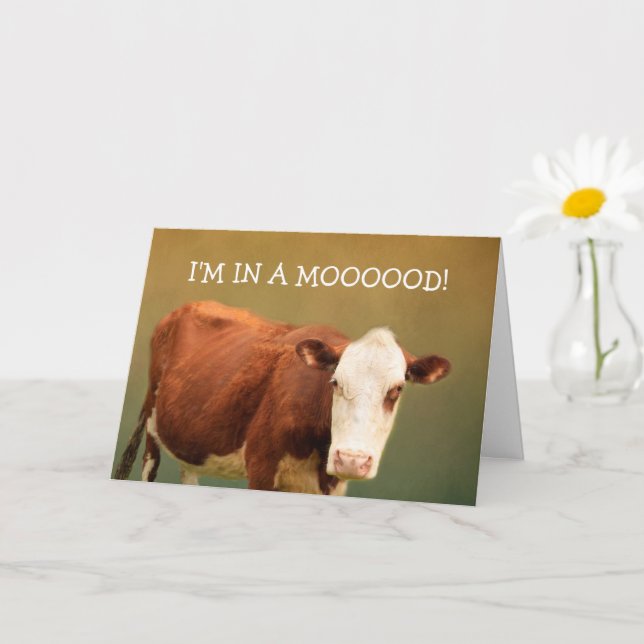 Cow Joke Grattis på födelsedagen Kort (Liten växt)