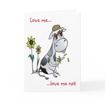Cow Kärlek