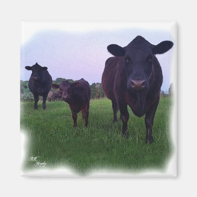 COW MAGNET! MAGNET (Framsidan)