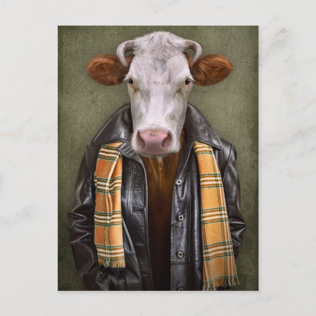 Cow Man Vykort (Framsida)