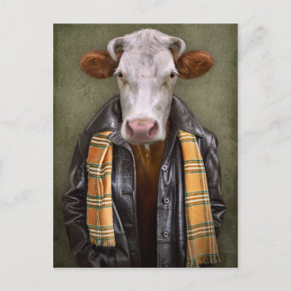 Cow Man Vykort