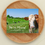 Cow, New House, Anpassningsbar Adress, Vi har flyt Vykort<br><div class="desc">Berätta för din familj och dina vänner att du har flyttat och haft ett nytt adress med det här roliga vykortet med en ko som säger "Vi har flyttat" - lägg till en anteckning och ny adress på baksidan. Lustigt,  modernt,  enkelt och enkelt - perfektens flytta-kort.</div>