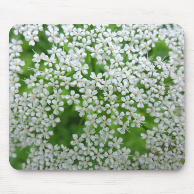 Cow Parsley Musmatta (Framsidan)