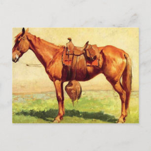 Cow Pony Vykort