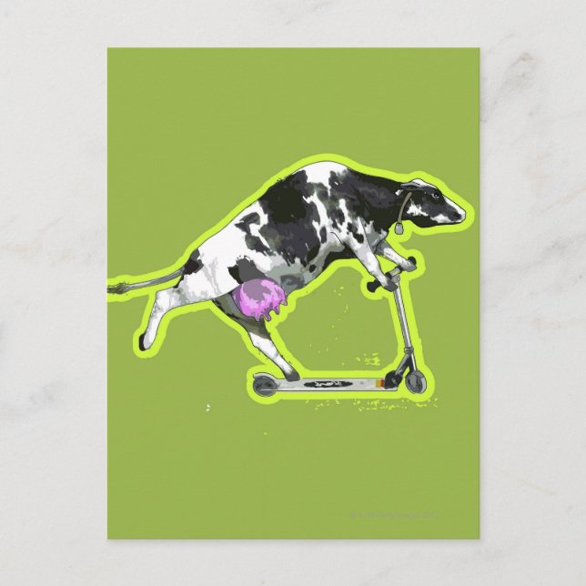 Cow Riding a Scooter Vykort (Framsida)