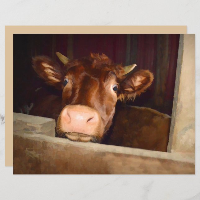 Cow Rustic Brown Land Barn Funny Farm (Fram/baksida)