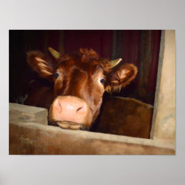 Cow Rustic Brown Land Barn Funny Farm Poster