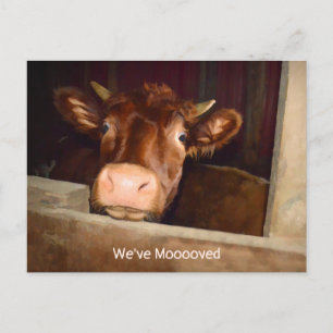 Cow Rustic Land Barn Funny Farm Flytta Card Vykort