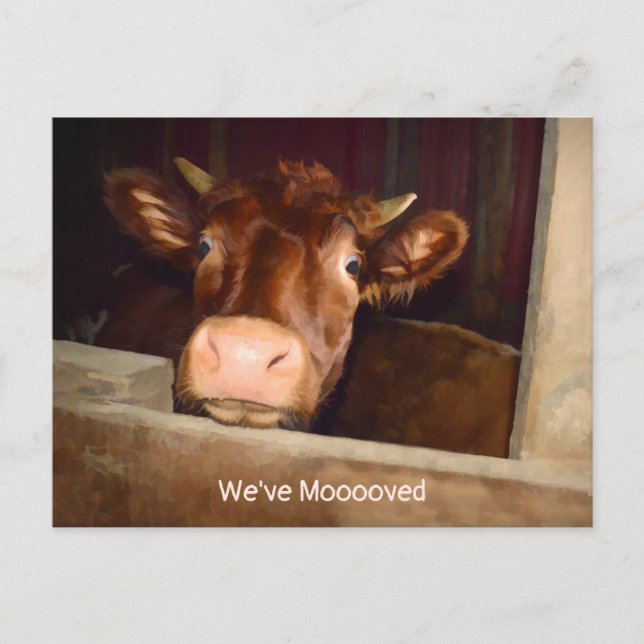 Cow Rustic Land Barn Funny Farm Flytta Card Vykort (Framsida)