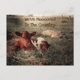 Cow Rustic Land Funny Farm Flytta Card Vykort