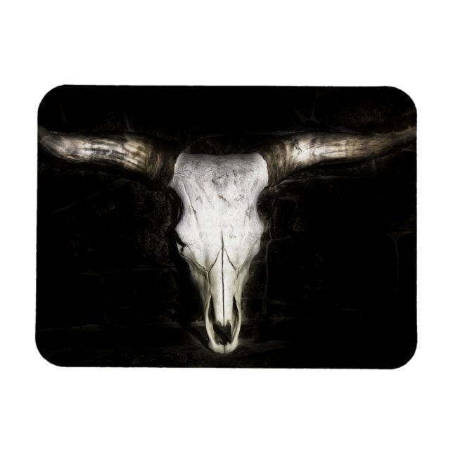 Cow Skull Magnet (Horisontell)