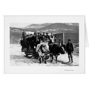 Cow Team Pulling Manar i en vagn Hälsningskort