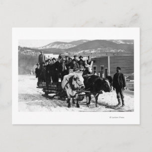 Cow Team Pulling Manar i en vagn Vykort