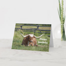 Cow Texas Longhorn Photo Birthday Kort
