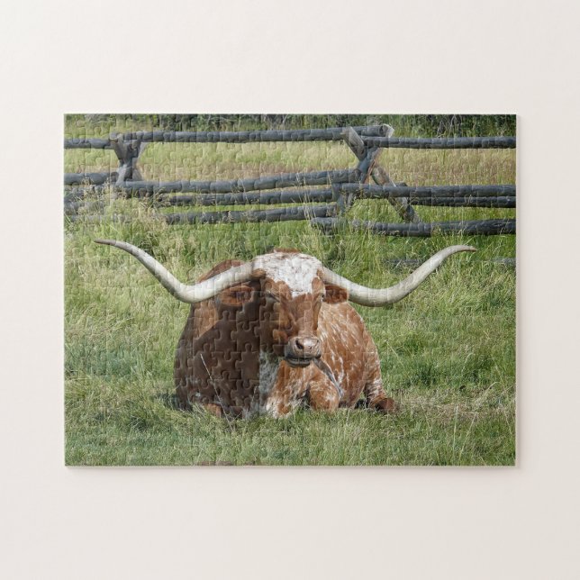 Cow Texas Longhorn Photo Pussel (Horisontell)