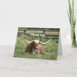 Cow Texas Longhorn Photo Tack Kort