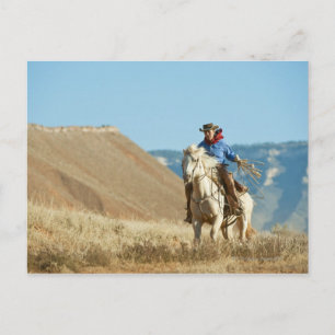 Cowboy 13 vykort