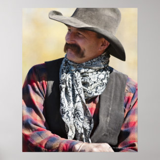 Cowboy 5 poster
